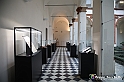 VBS_4118 - Mostra Il Rinascimento in Piemonte - Castello della Rovere - Vinovo 